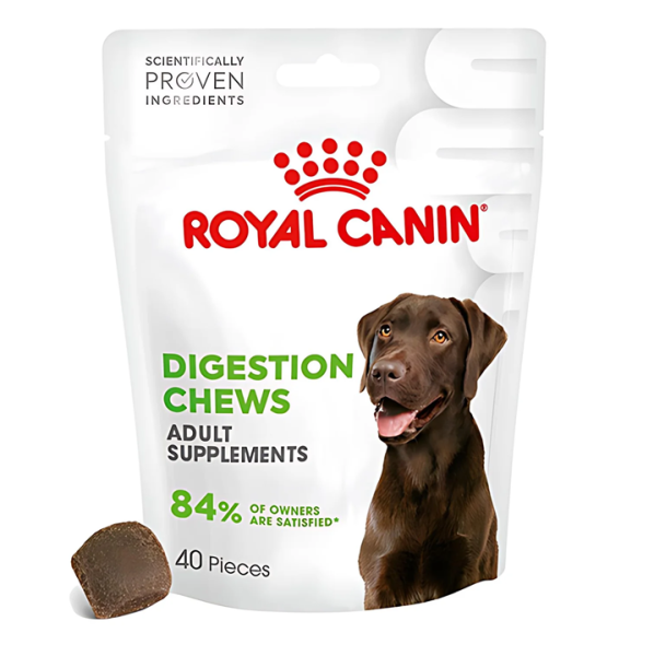 ROYAL CANİN DOG DIGESTION ADULT SUP. 160 GR*6